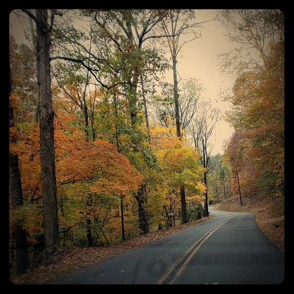 Meet your Posher, Karen - Picture 1 of 2